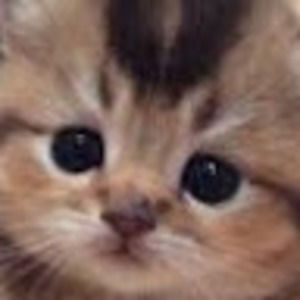 Meet your Posher, Jerry